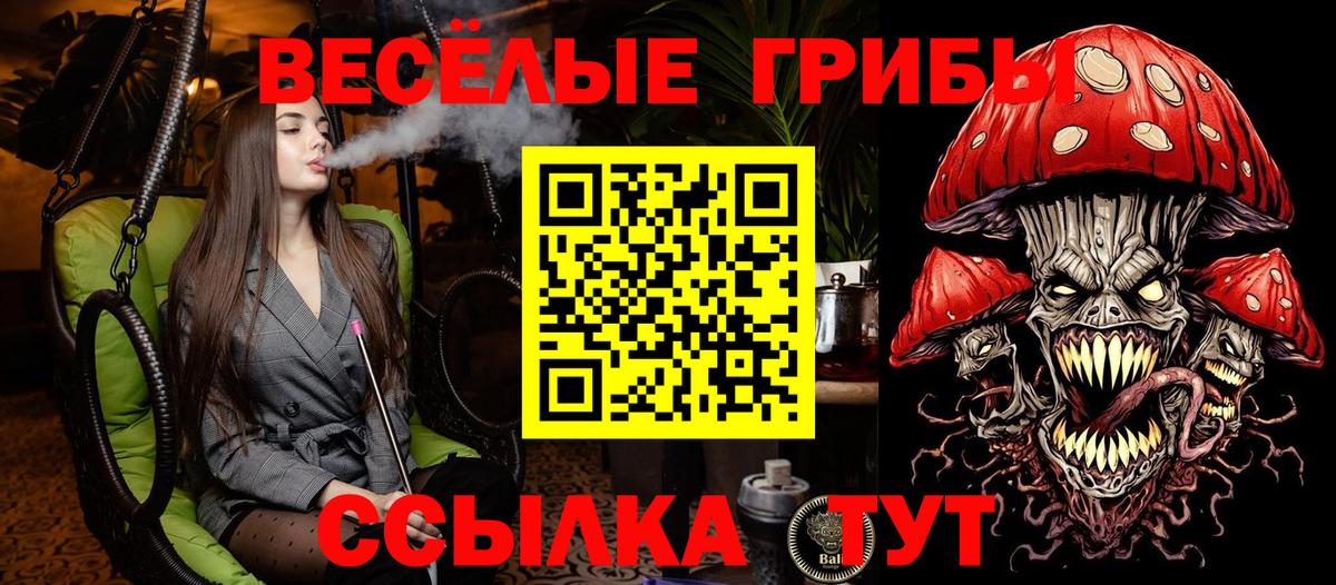 Галлюциногенные грибы мицелий  Вход с VPN  Асино 