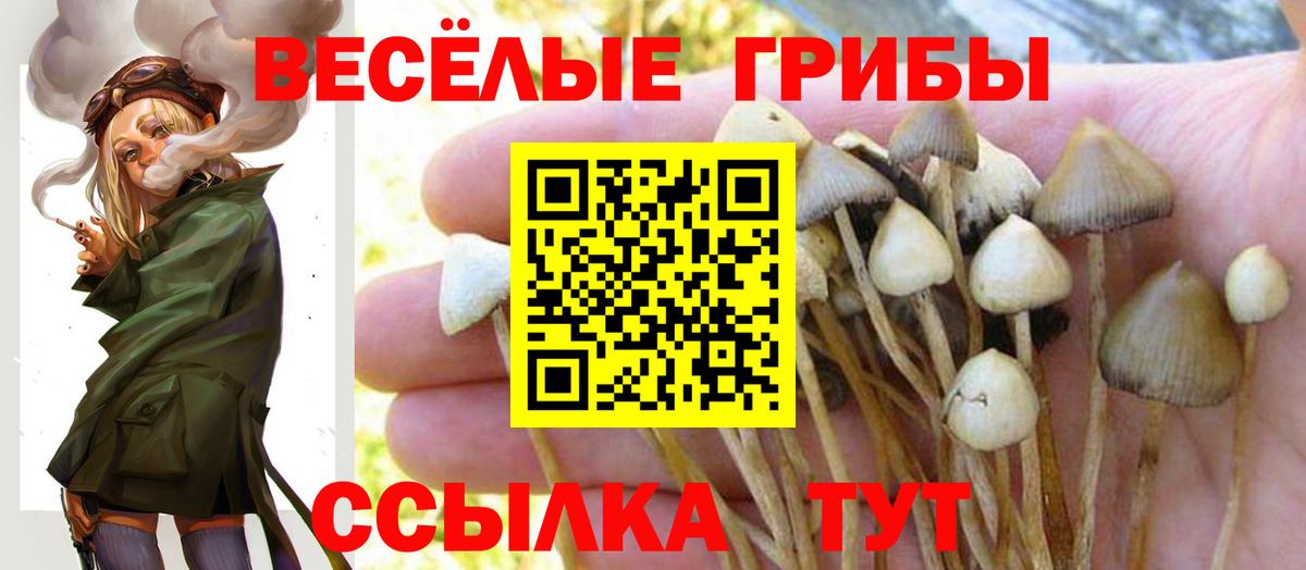 Галлюциногенные грибы прущие грибы Асино